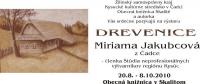 vystava_jakupcova.jpg