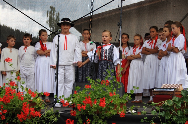 dfs_bukovinka.jpg dfs_bukovinka.jpg