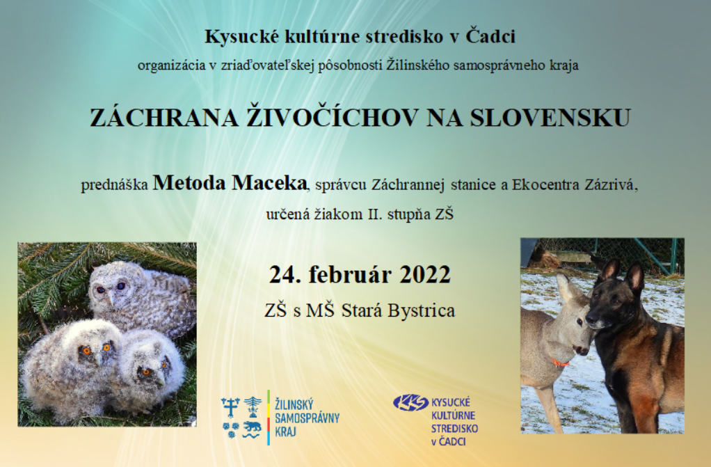 Záchrana živočíchov na Slovensku február 