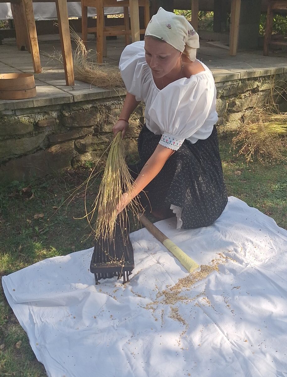 Danka Baligová Ľanová cesta