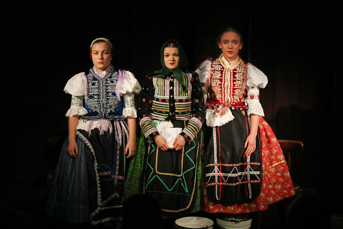 IMG 7065