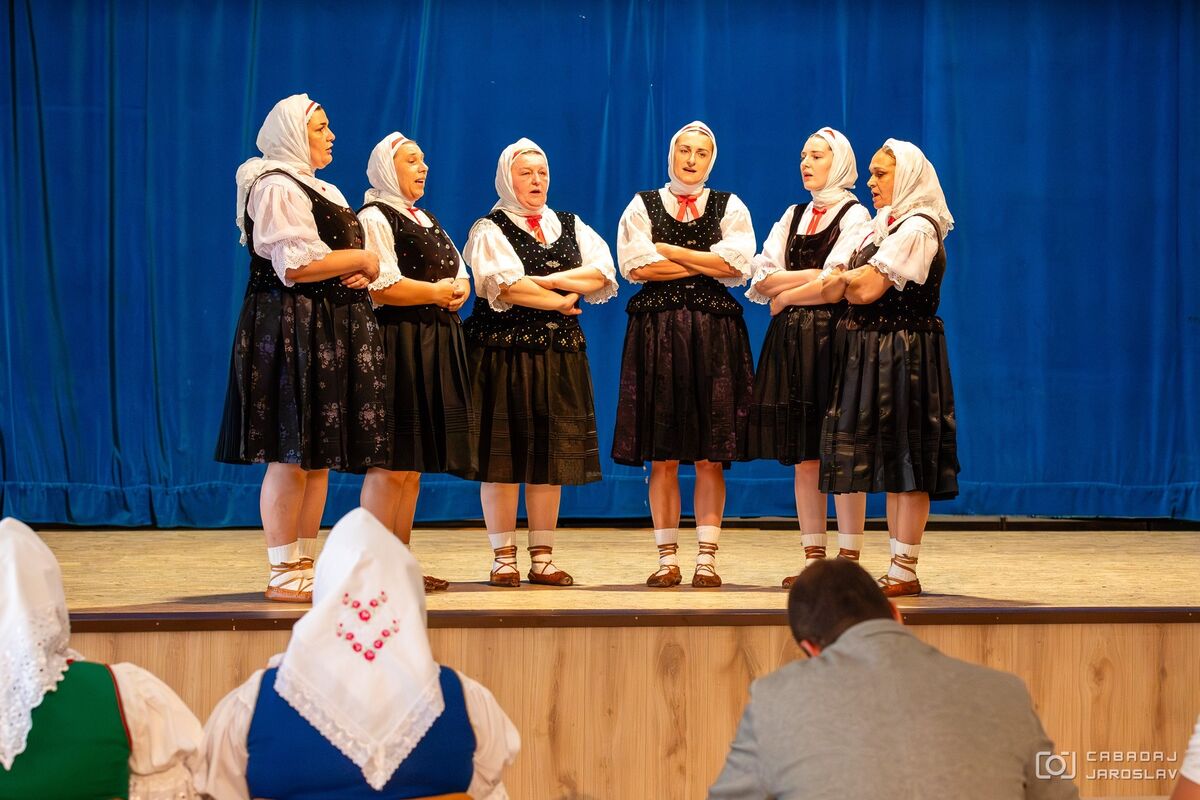 FSk Svrčinka ViHa2025