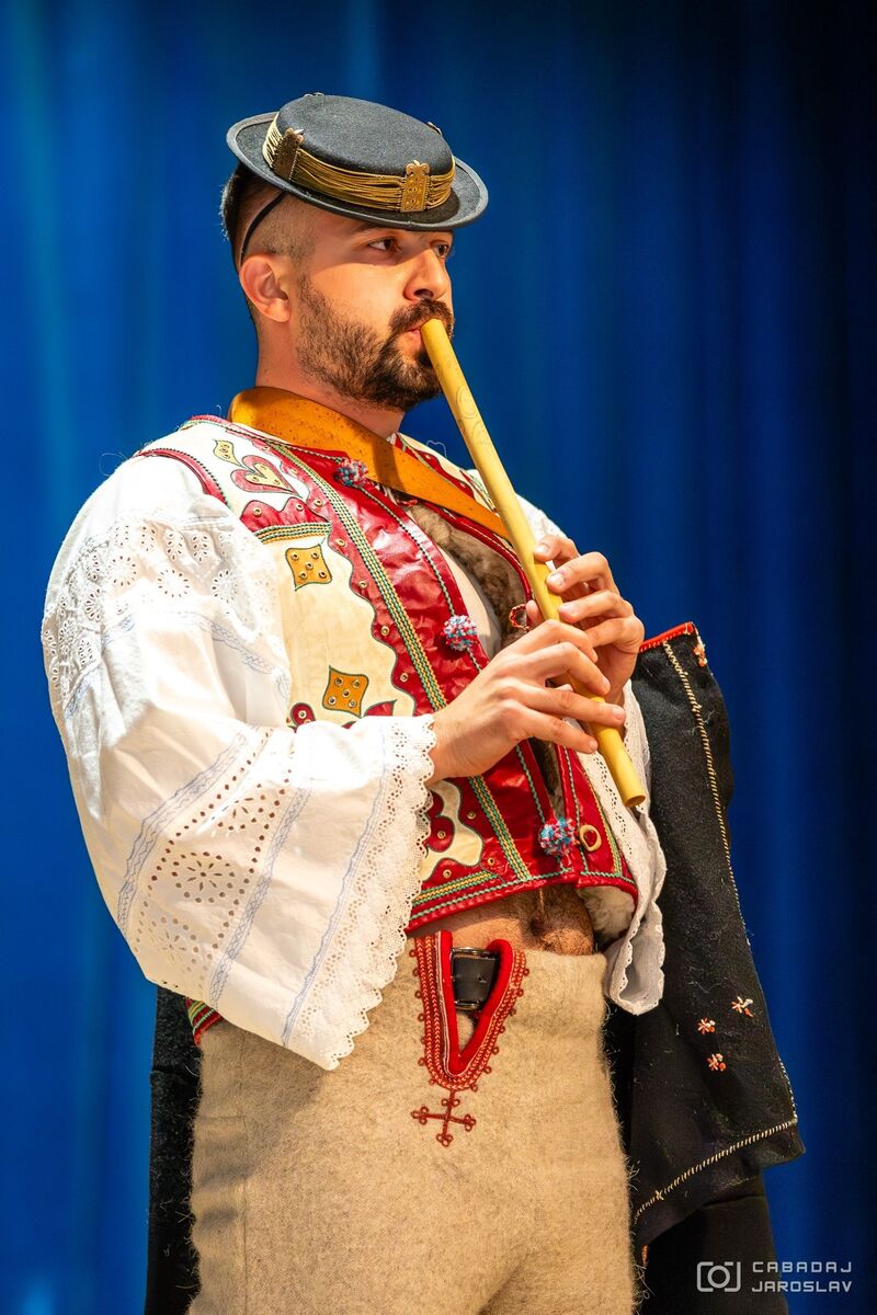 František Kostúr ViHa 2025