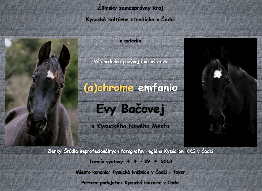 Pozvánka E. Bačovej final 1