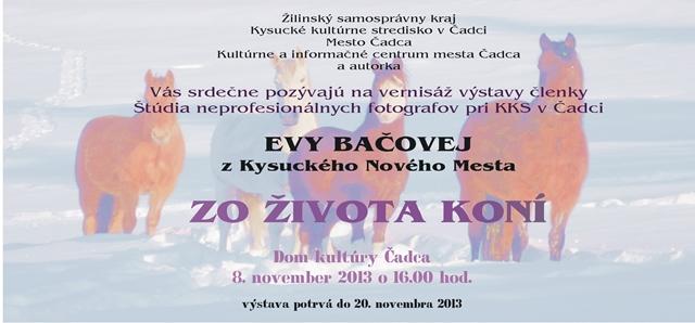 eva_baov.jpg