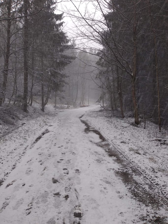 PAPÍKOVÁ Cesta nádeje nad inými myšlienkami